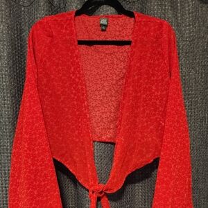 Wild Fable Red Floral Sheer Top